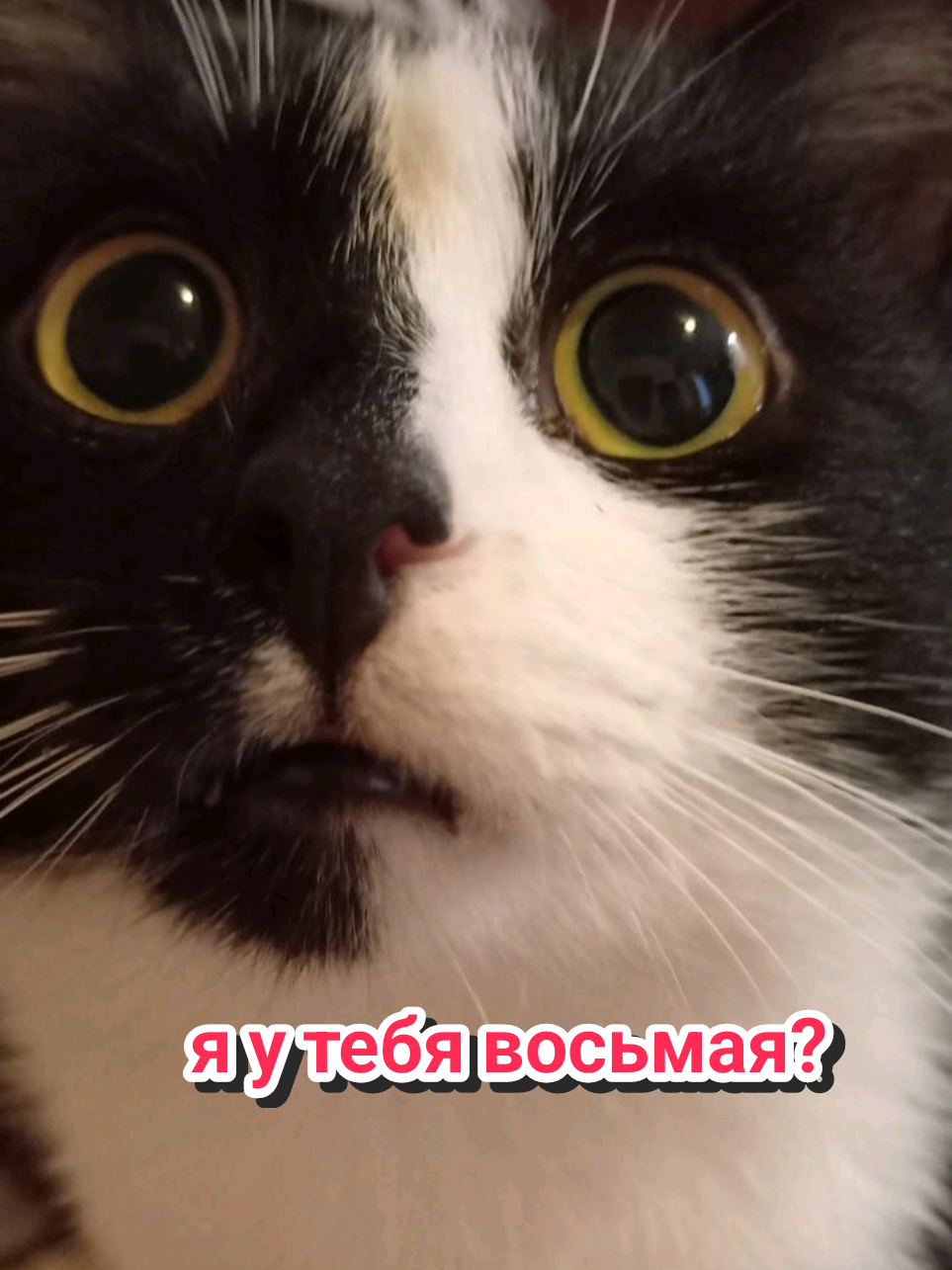 @Рыся✔️🇧🇾