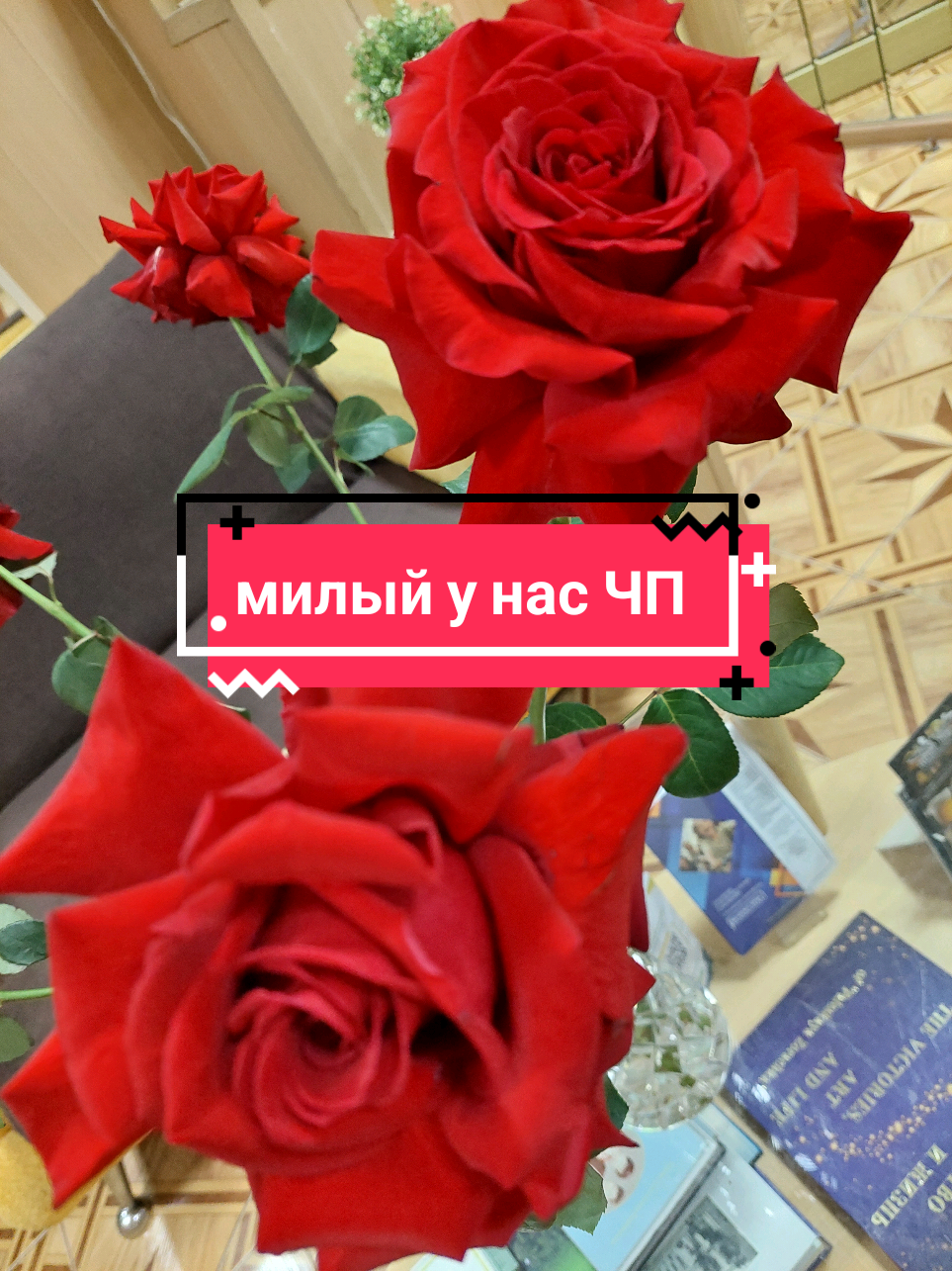 @Рыся✔️🇧🇾
