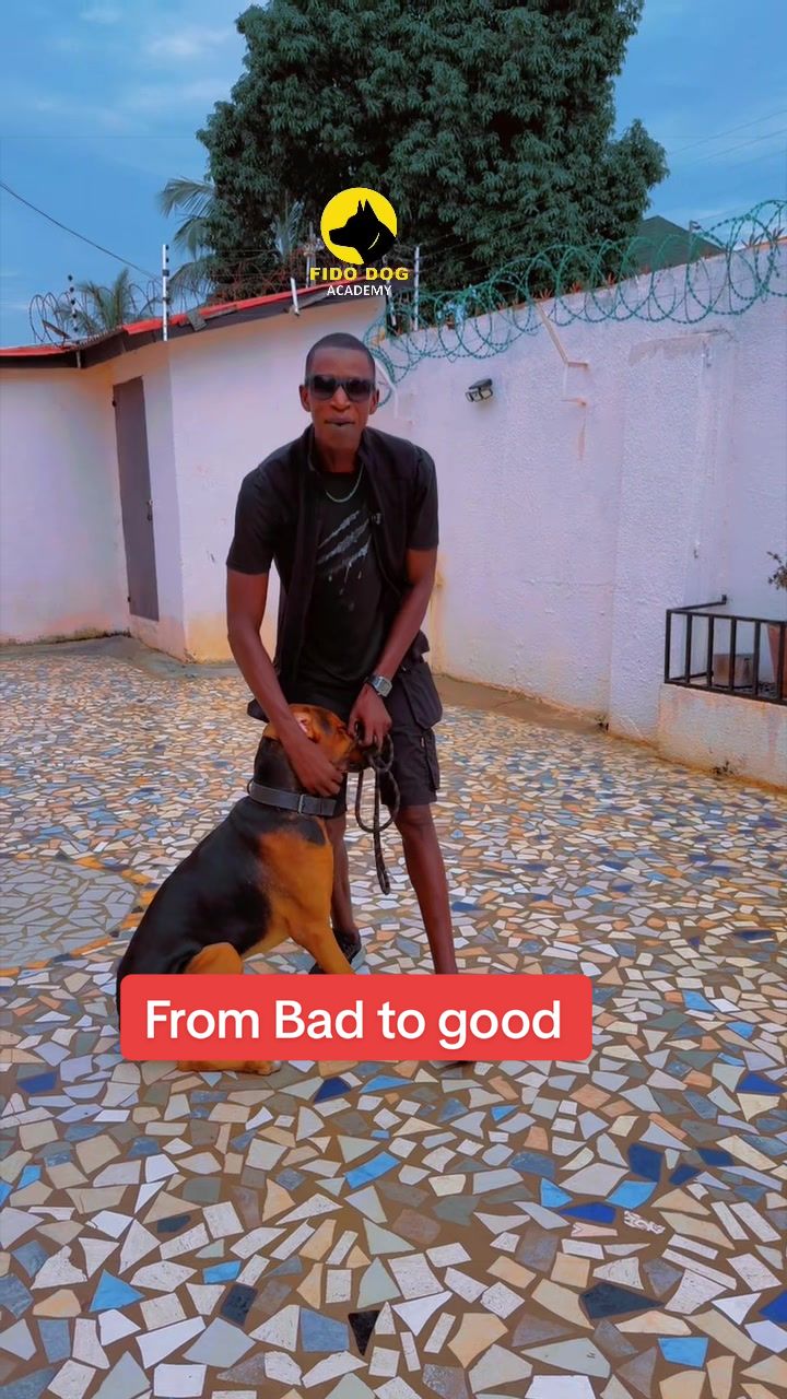 @Dog Master