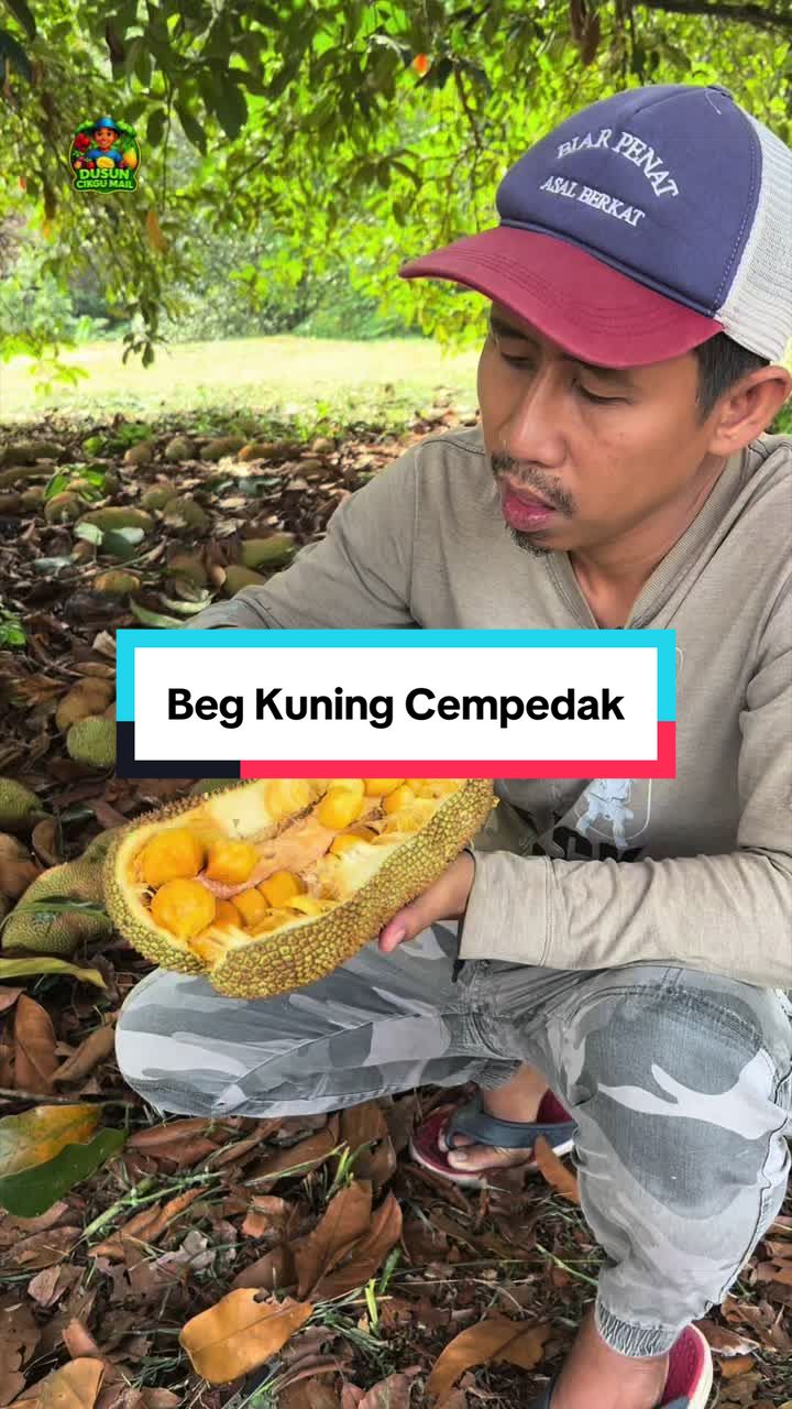 @Dusun Cikgu Mail