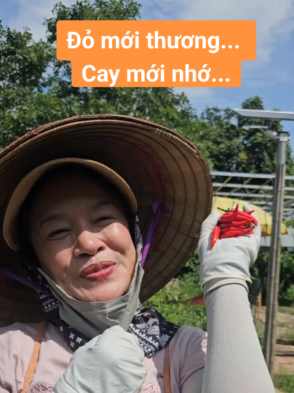 @Diễn vi&ecirc;n T&uacute; Oanh