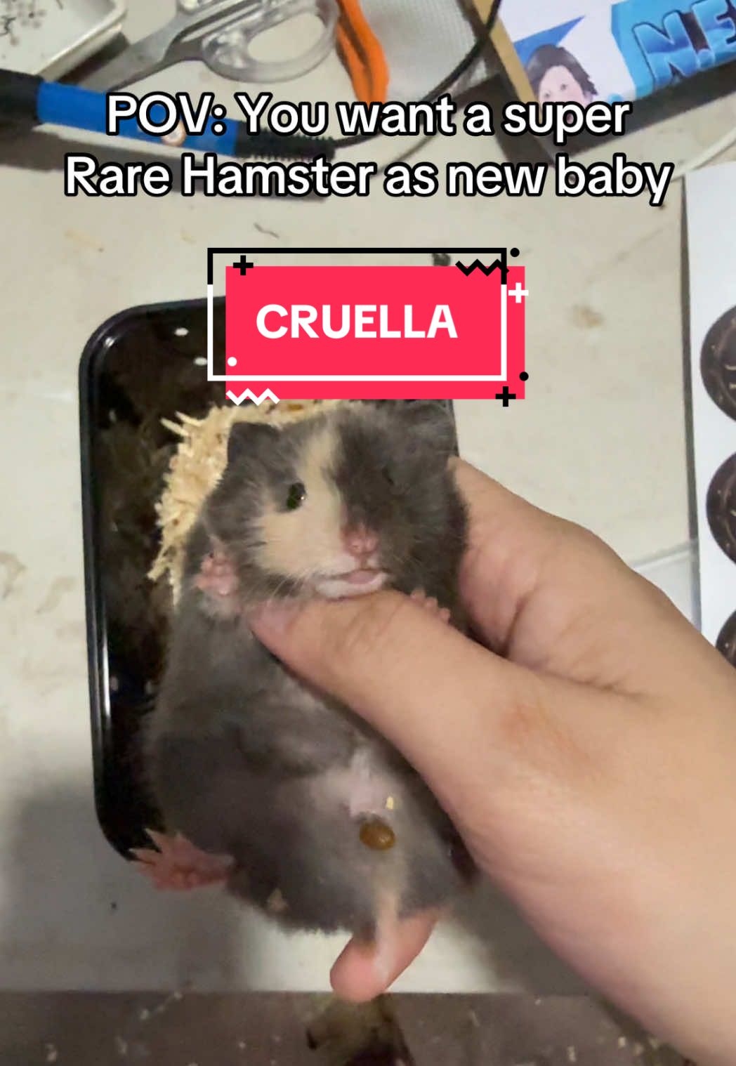 @Heredera ng mga Daga