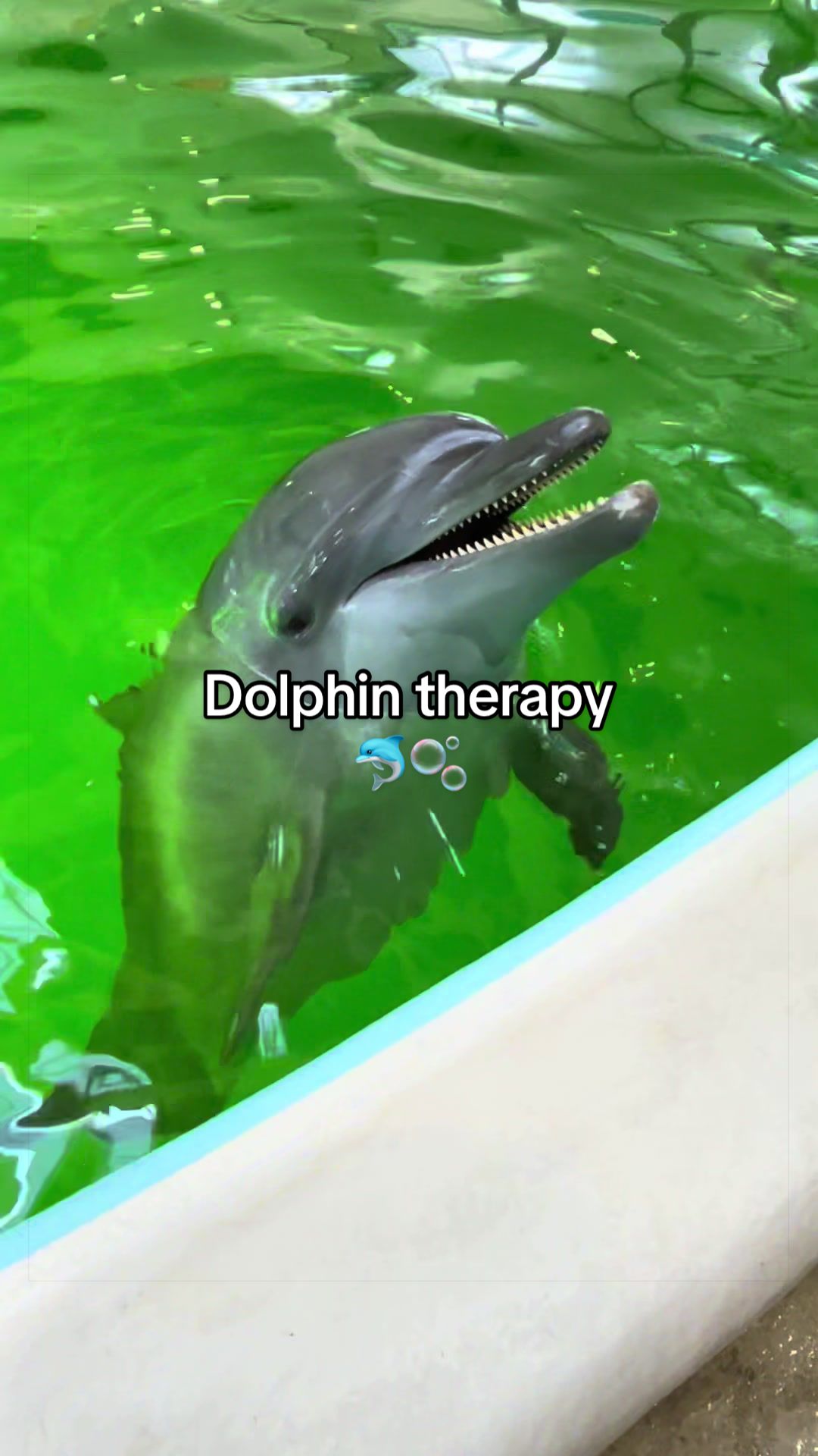 @ðð¢ð€ð® ðð¢ð€ð® ðð ð¬ð