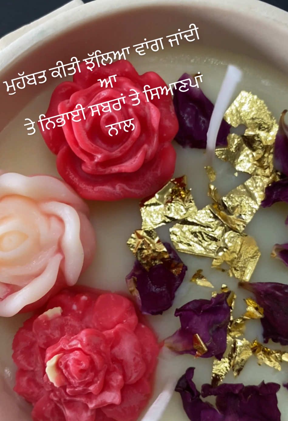 @Raj Vir Kaur Brar