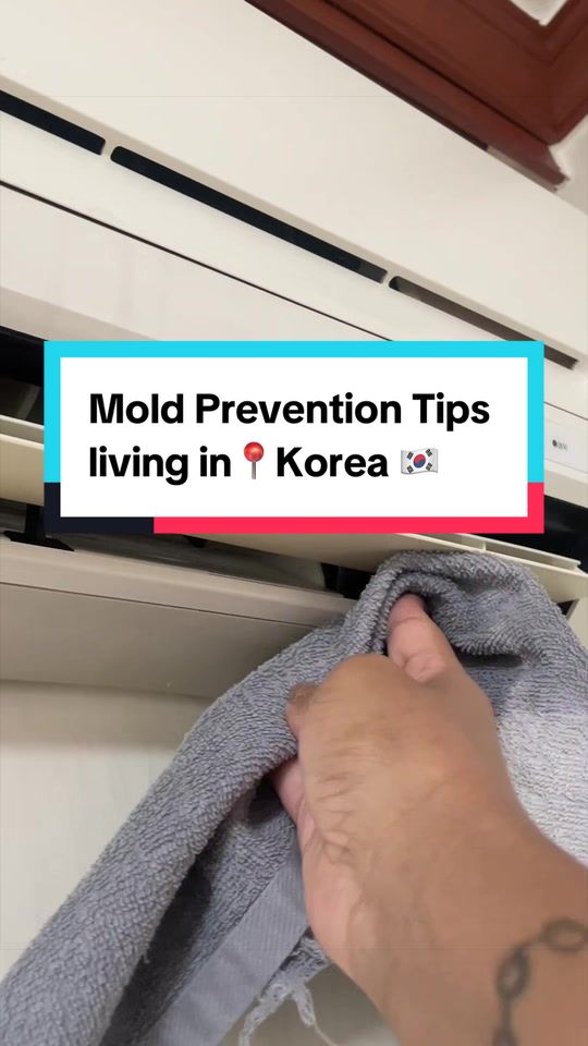 @Candace | Life in Korea