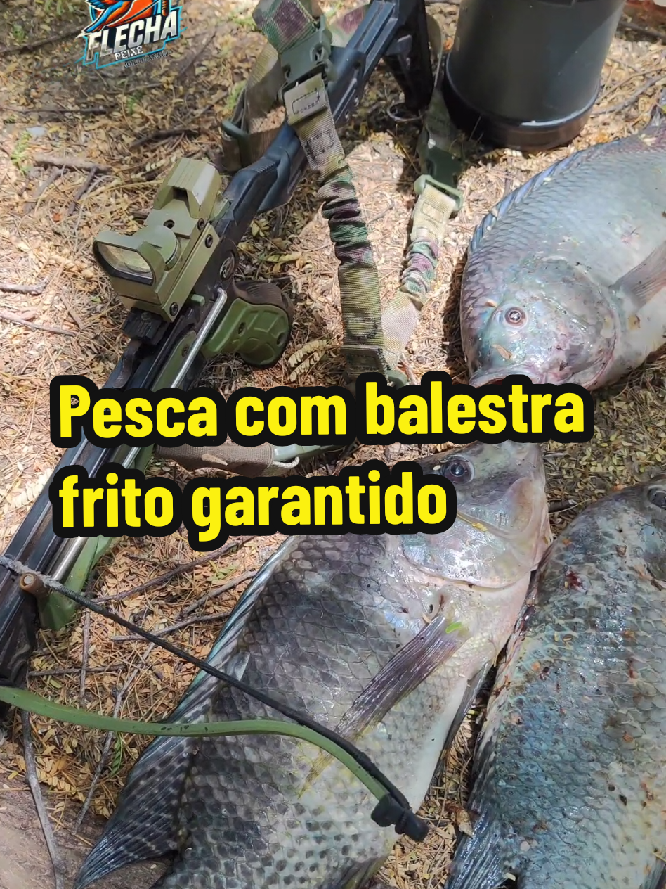 @Joildo Araujo