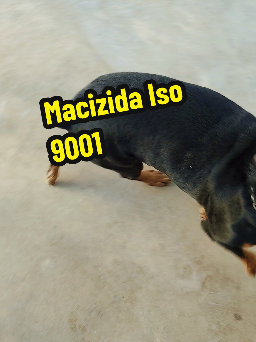 @Charly