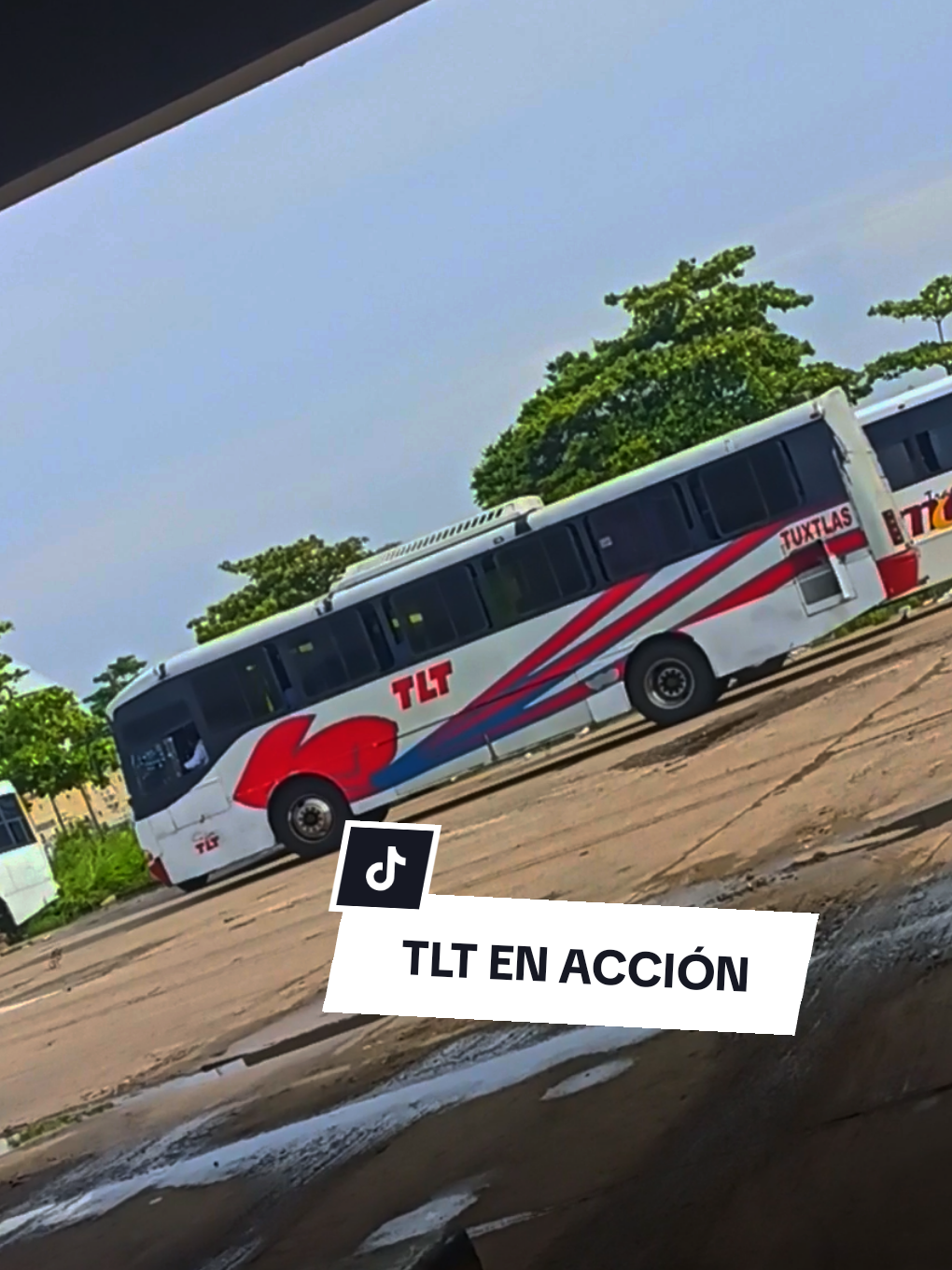 @Busologia Veracruzana 🍀🚍
