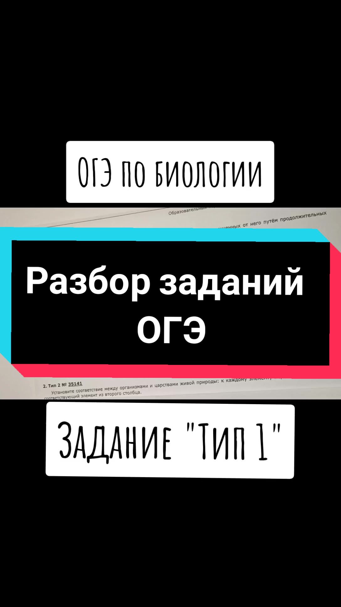 @Биология 🐢