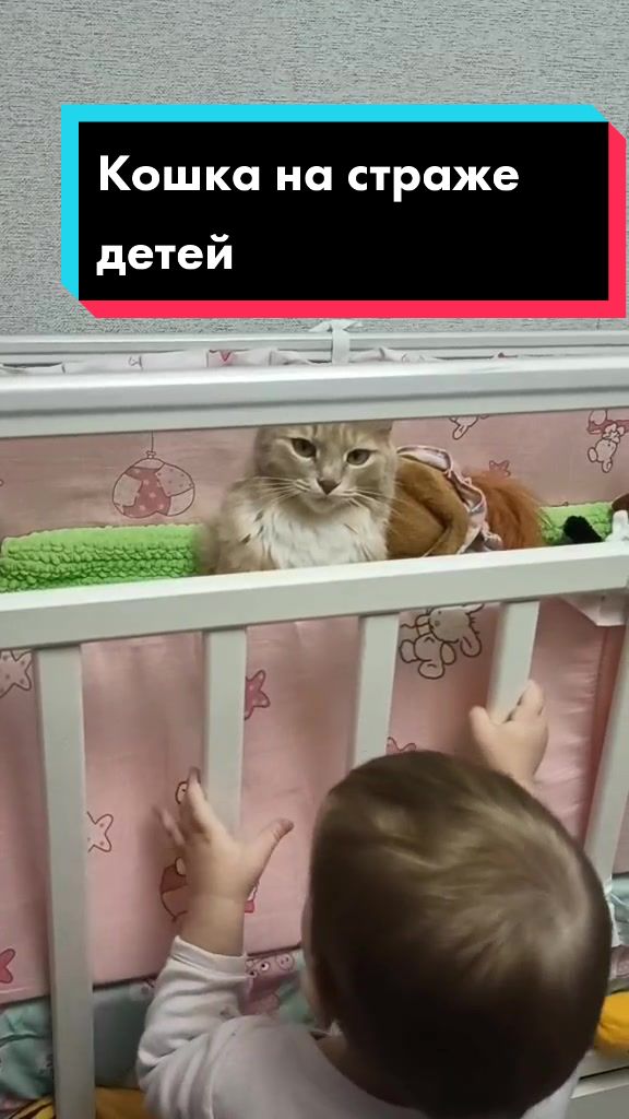 @leva.opakot