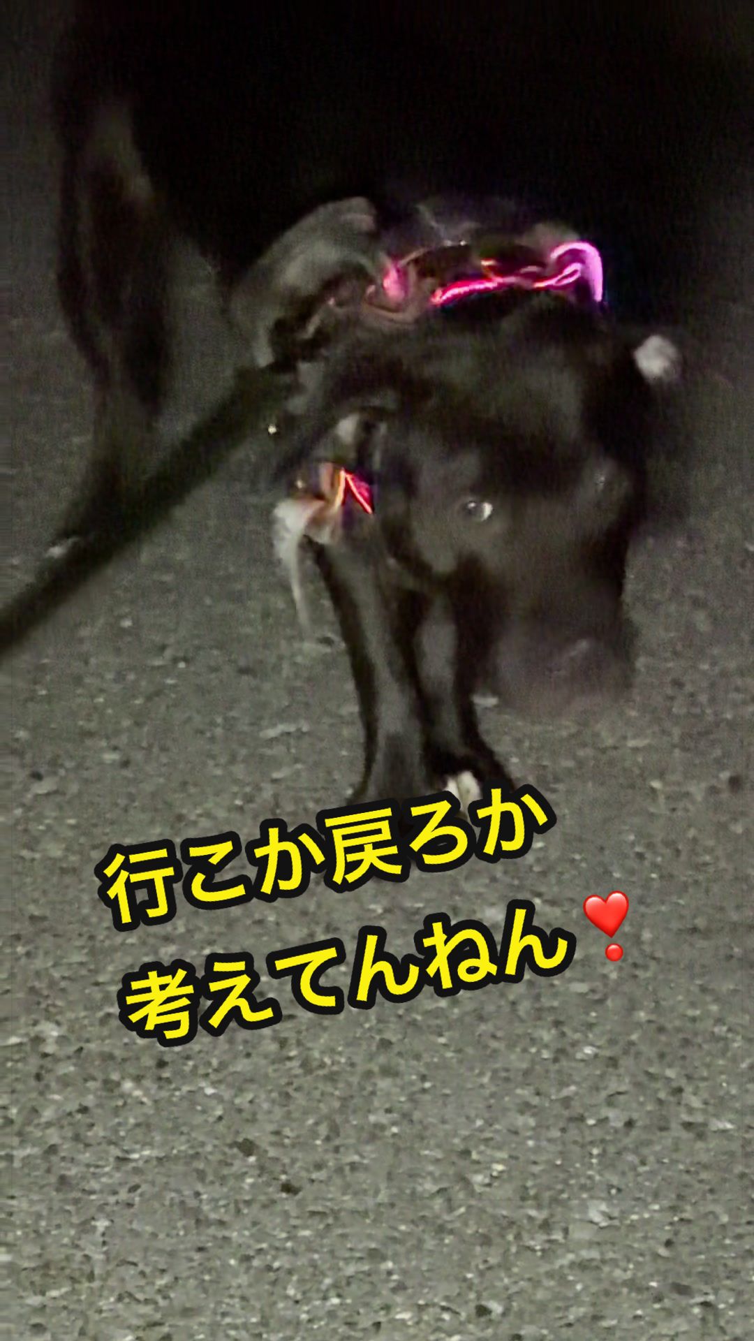 @✌︎·͜·(PᗜN)·͜· ︎︎ᰔᩚ