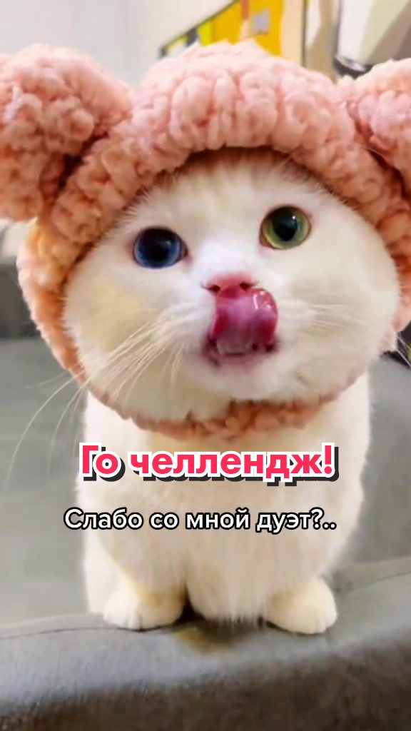 @Кот Клякса