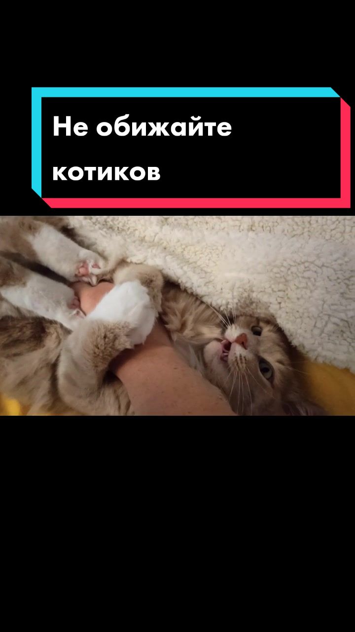 @leva.opakot
