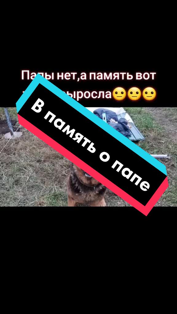 @Возничий BRO