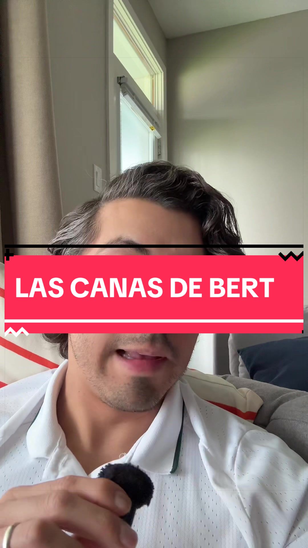 @bert_negocios