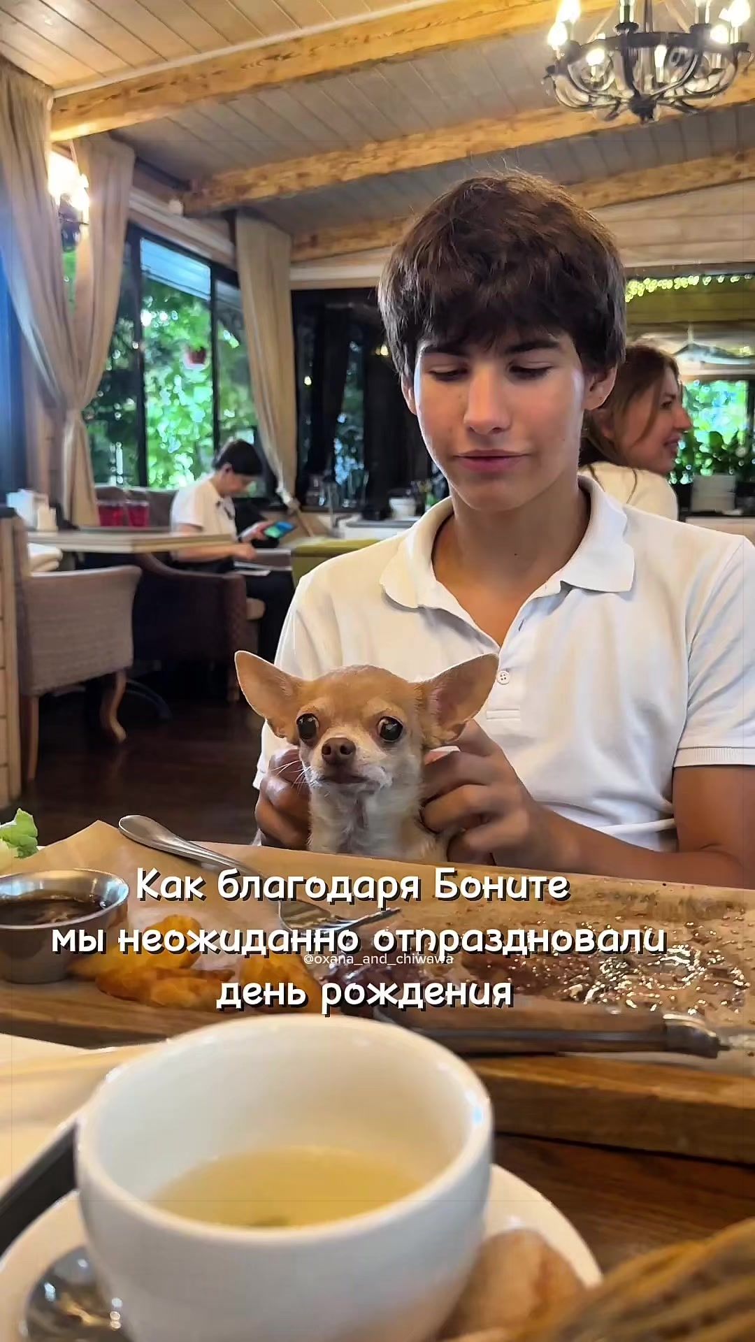 @Оксана & Чихуахуа Бонита