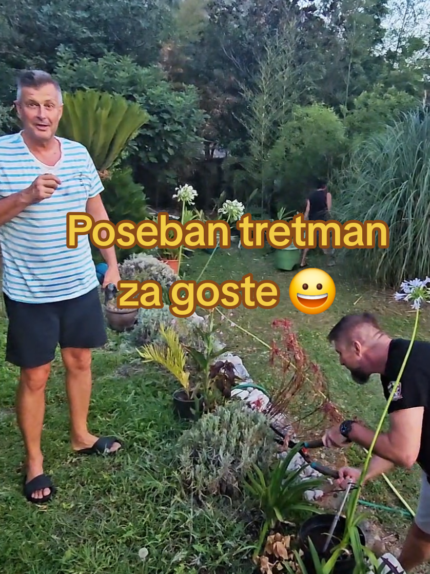 @Dejan Dragićević