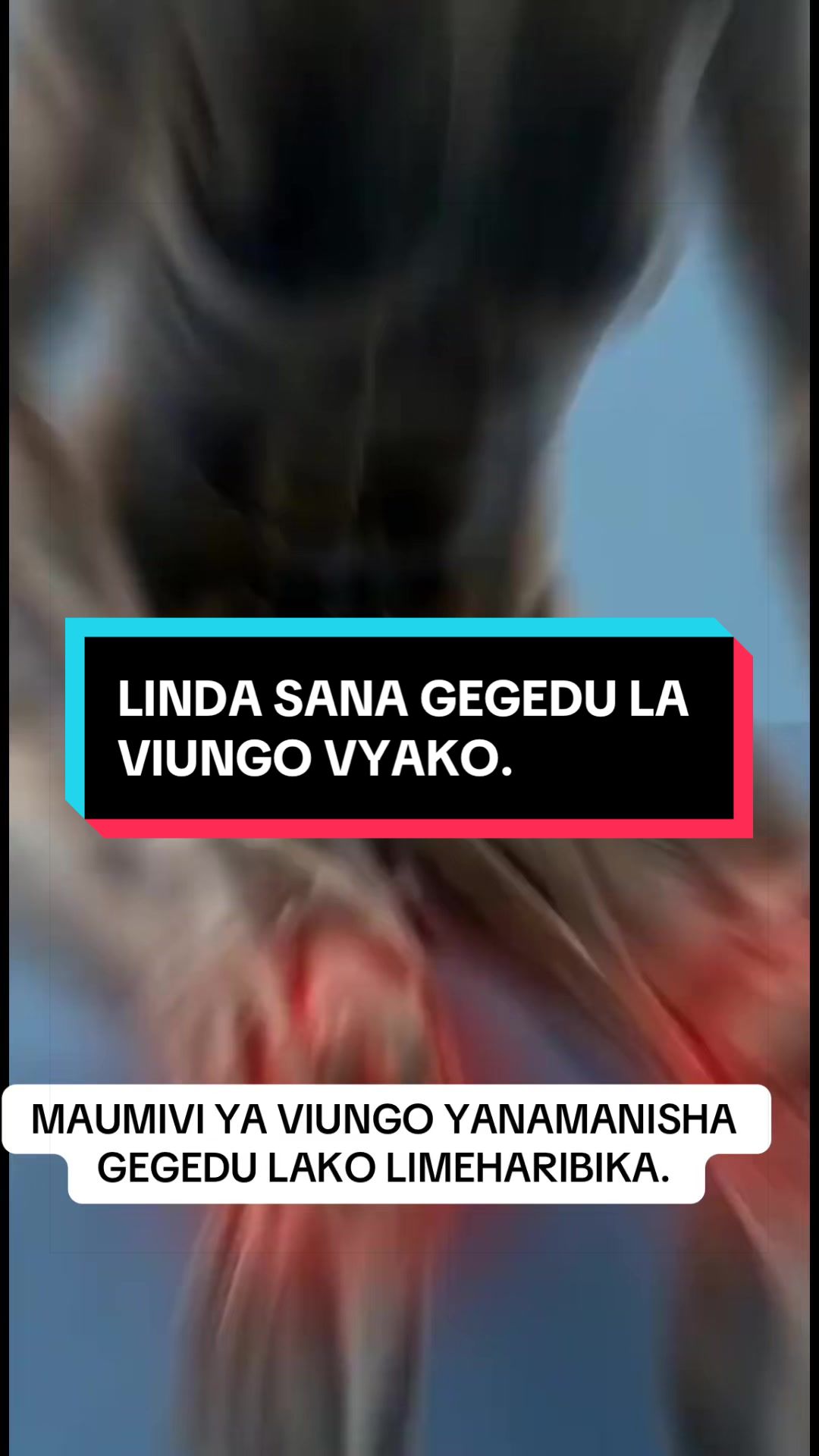 @Madam Schola
