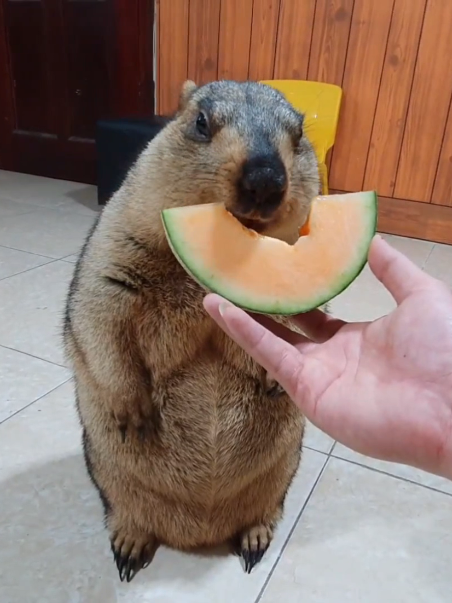 @YêuYêu