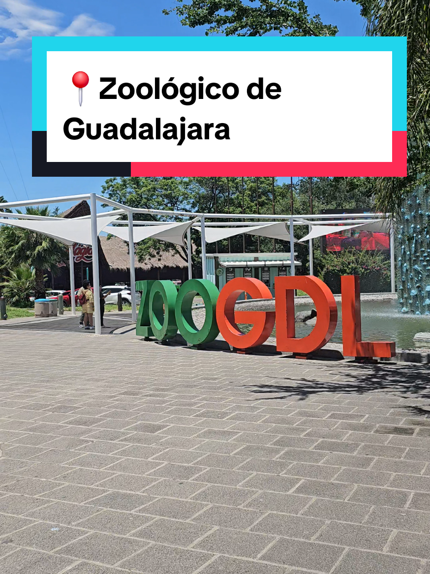 @SoyAlitzel ✨️🌎🥾