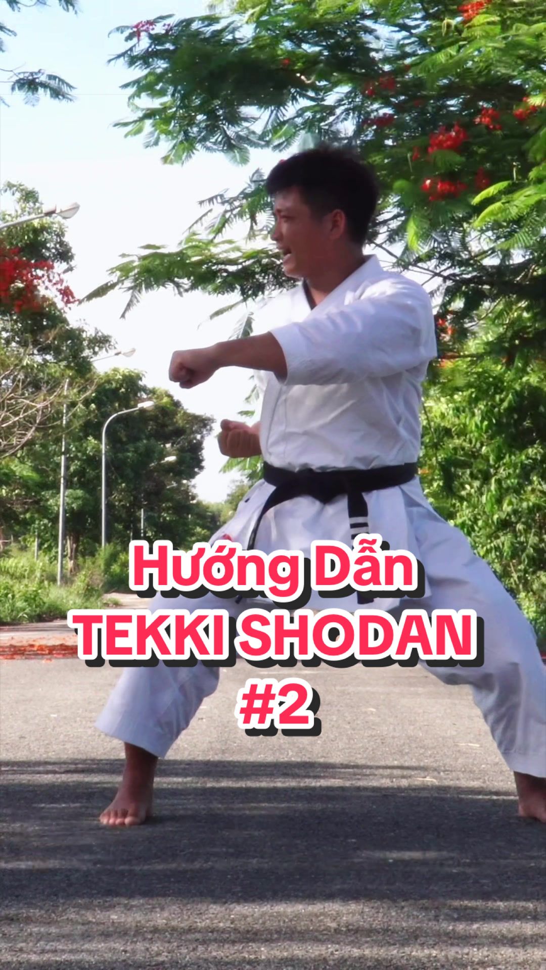 @Quang Hải NDK