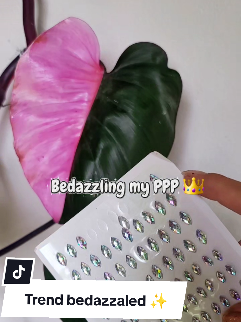 @Plantología🌿