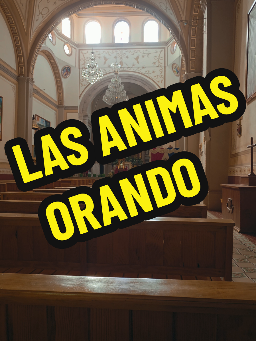 @Bruja C&oacute;smica Oficial