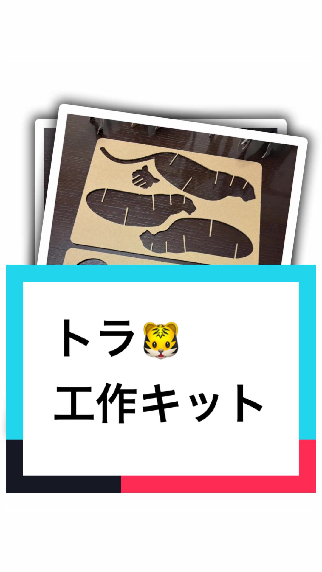 @ダンボール王子🌏♾️🐦&zwj;🔥