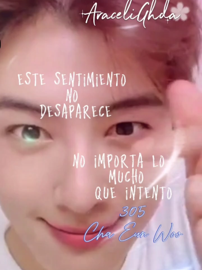 @araceli hernandez