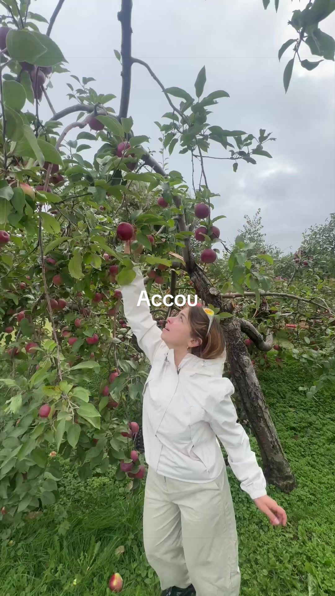 @Accou