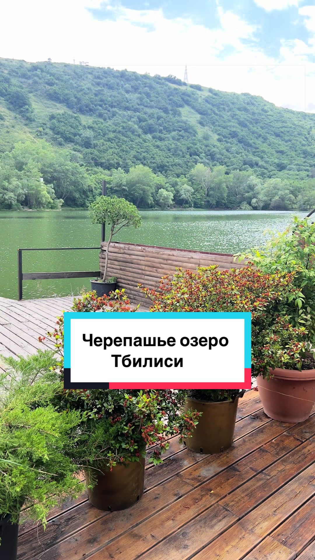 @Elena Grinchuk