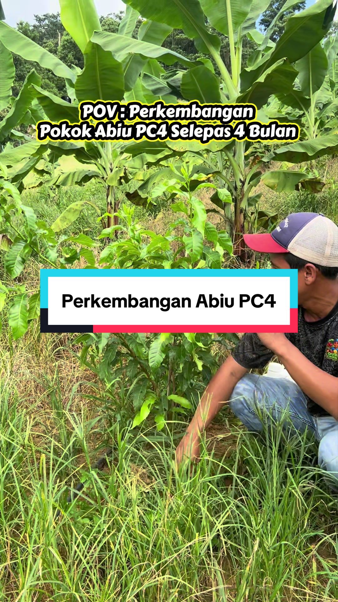 @Dusun Cikgu Mail