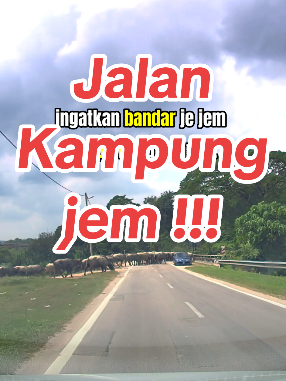 @Rizal