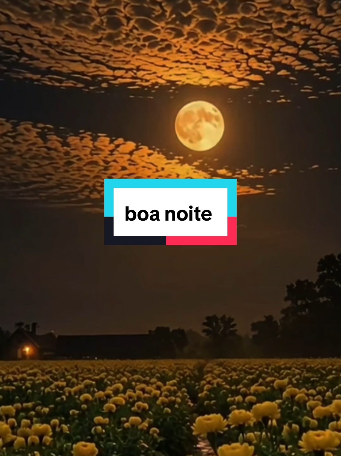 @frases e motivação