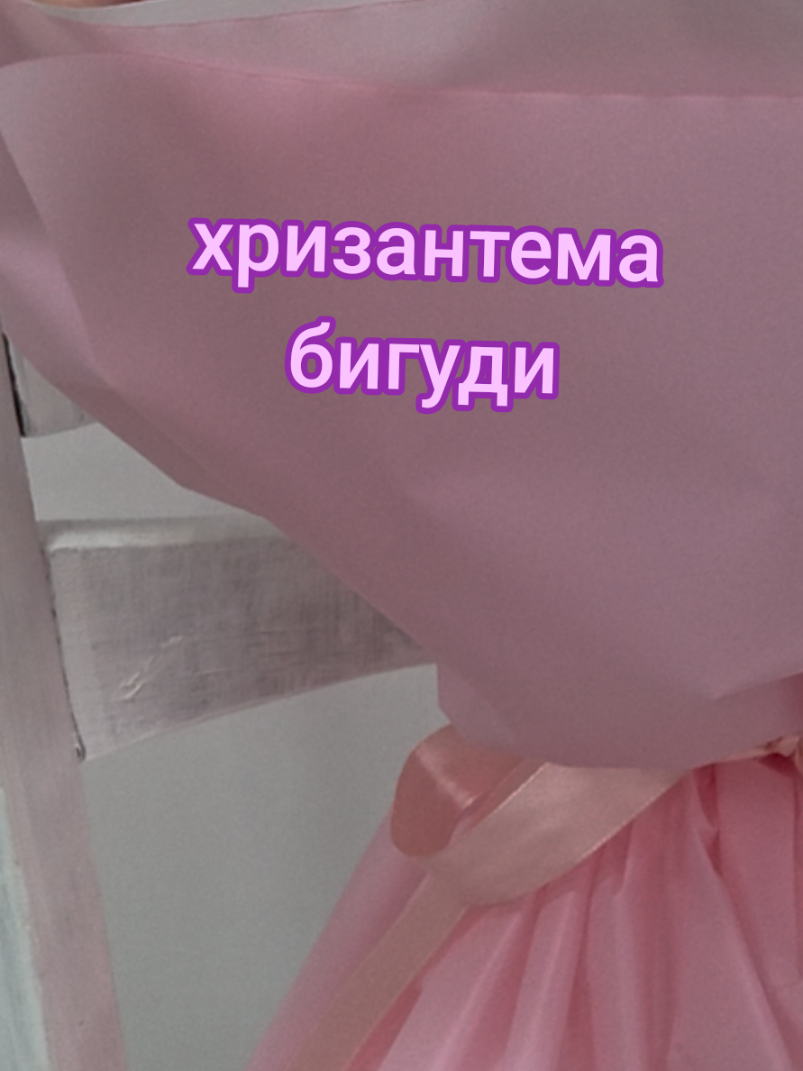 @Снежана