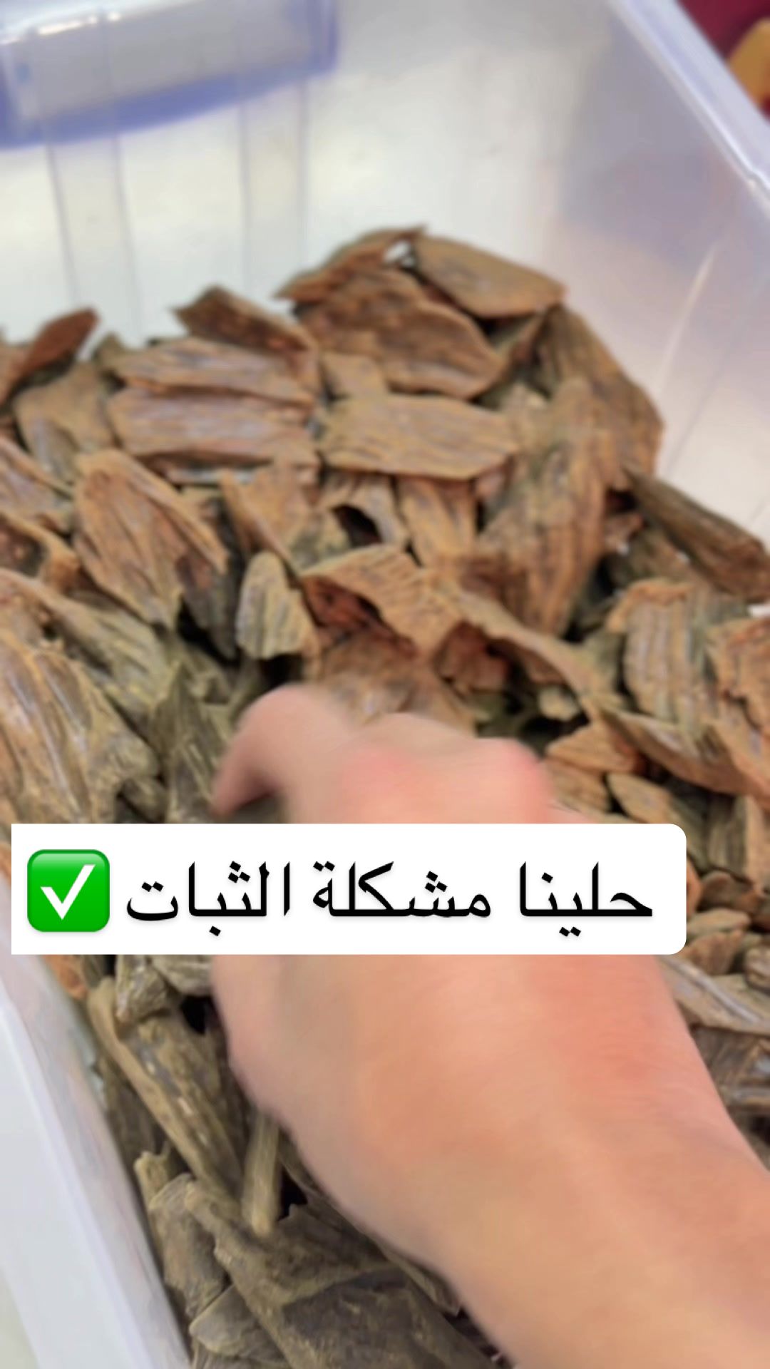 @NOYAN SCENTS