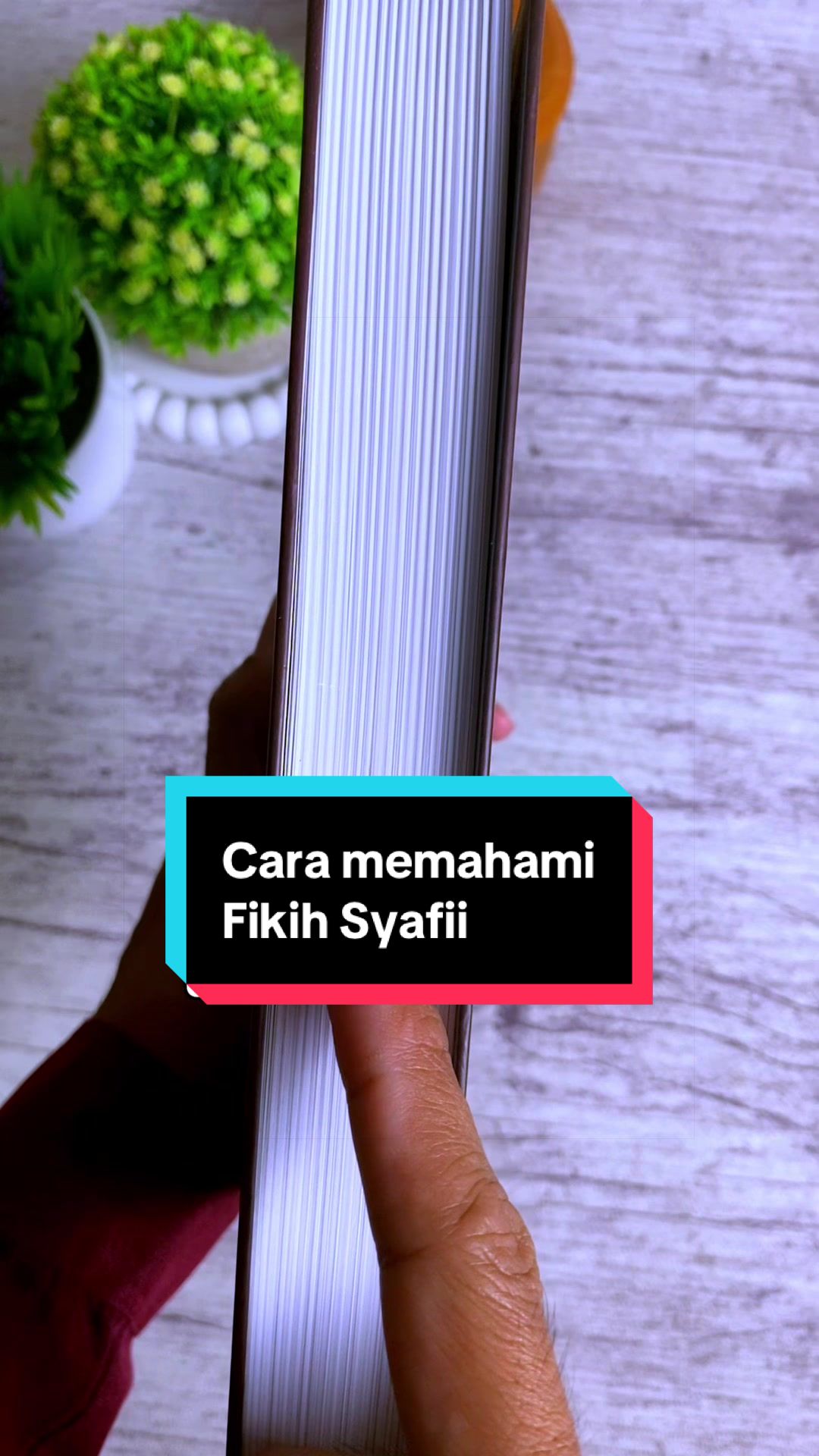 @Pustaka Arafah