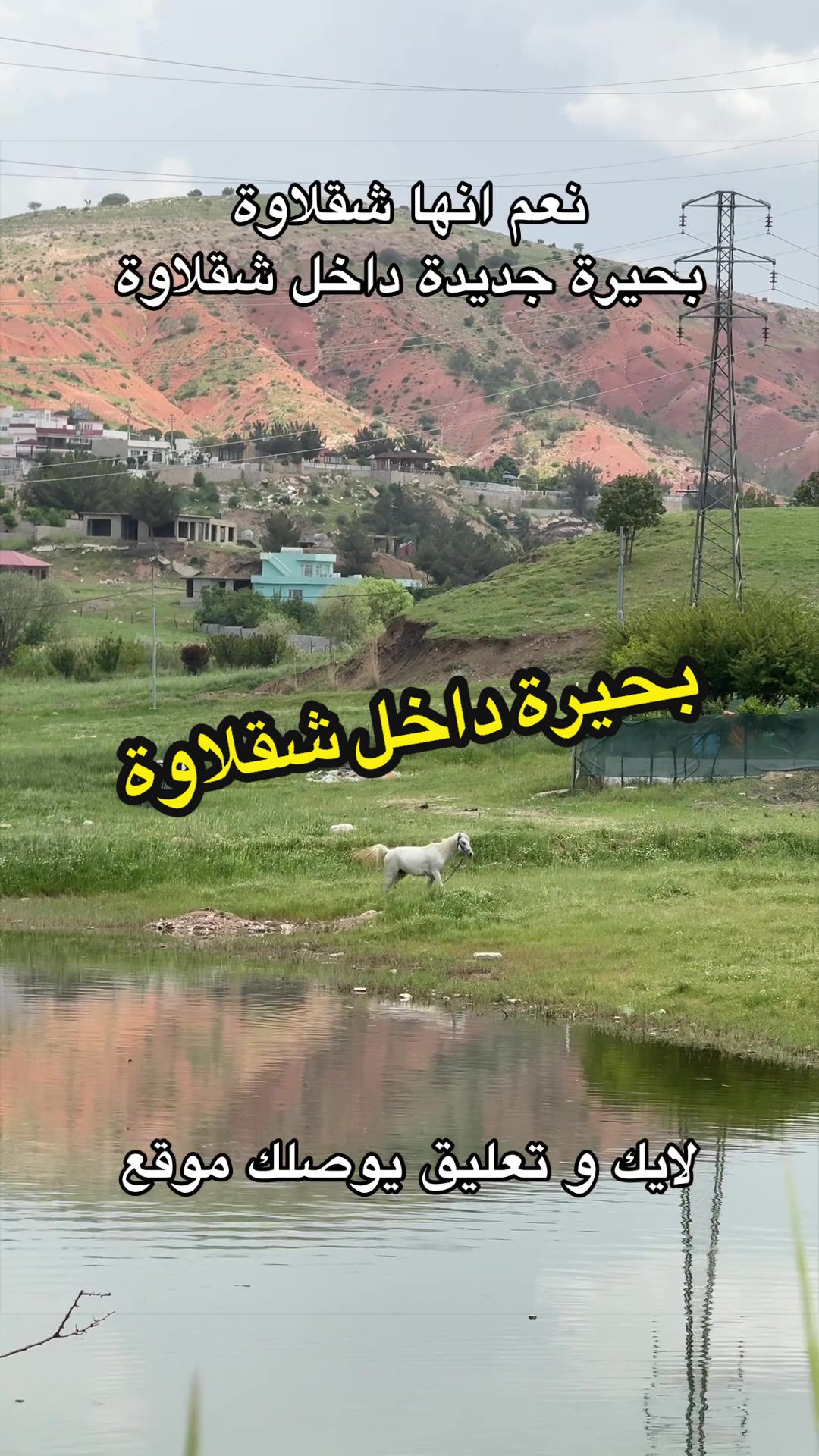 @شاليهات شقلاوة