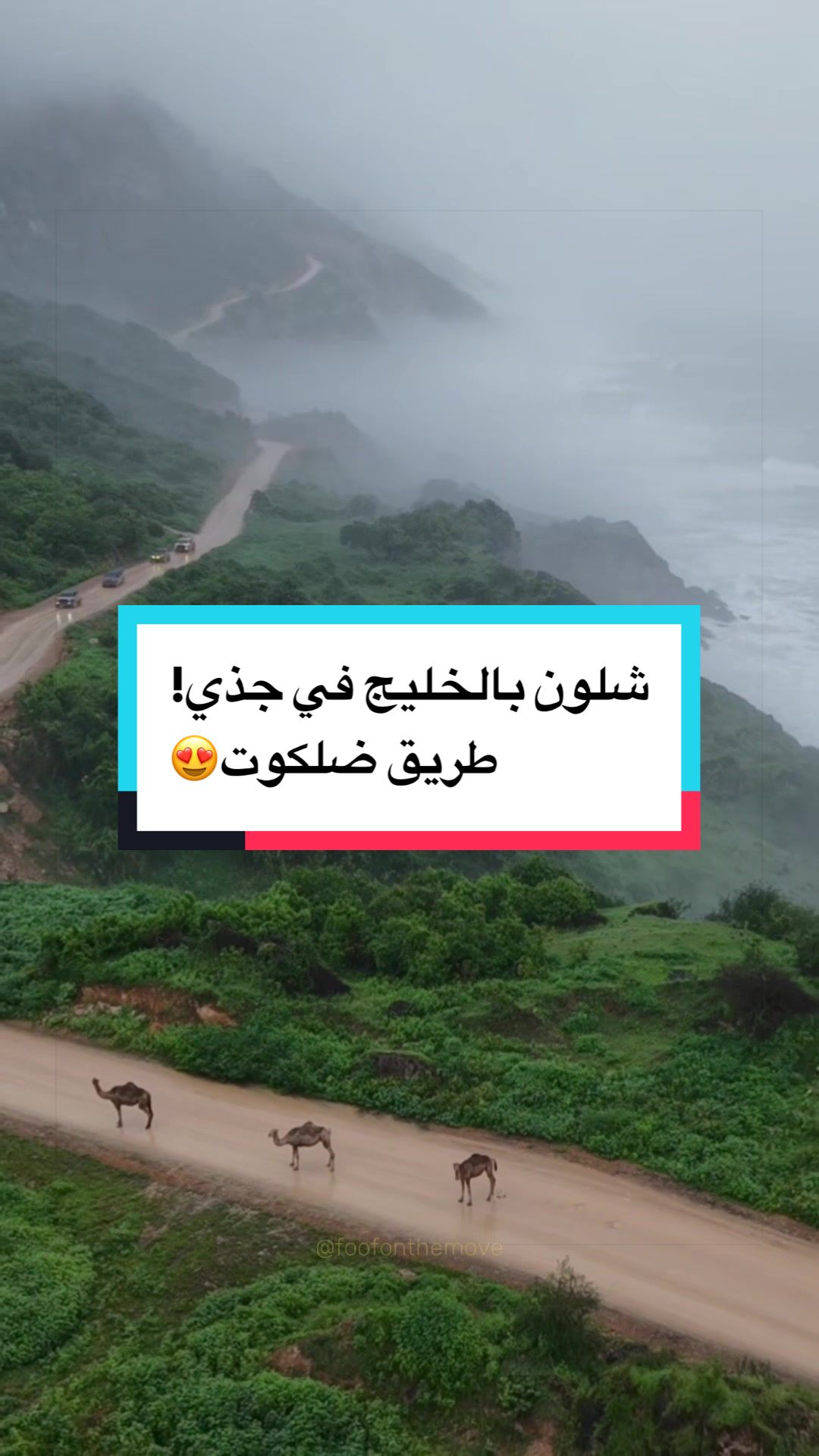 @Wafaa