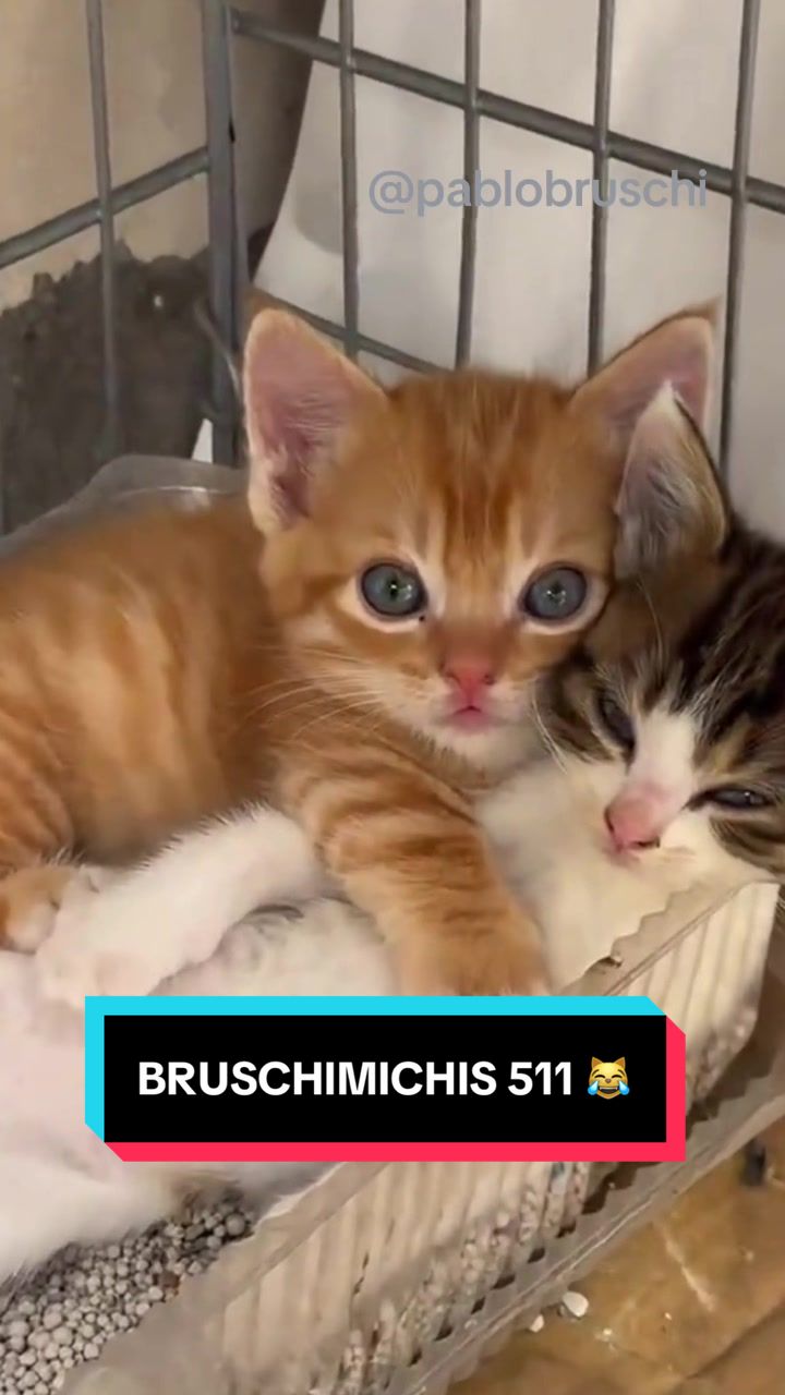 @Pablo Bruschi