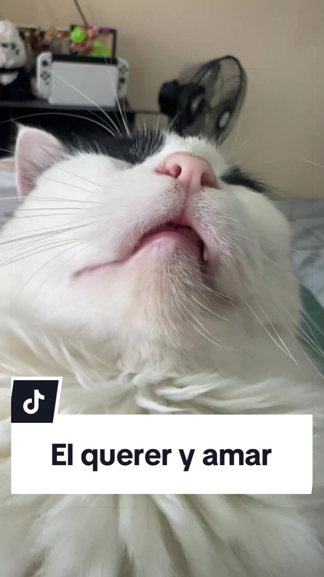 @pepe_el_gordillo