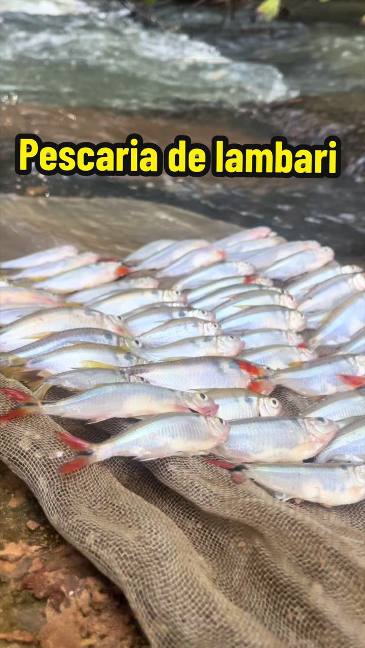 @Gabriel na pesca 🎣