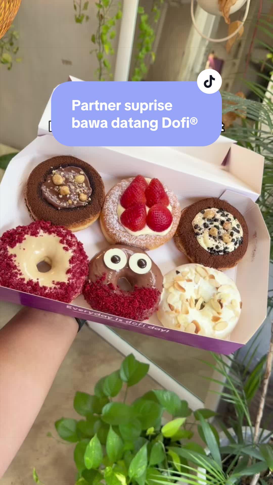 @dofidonut