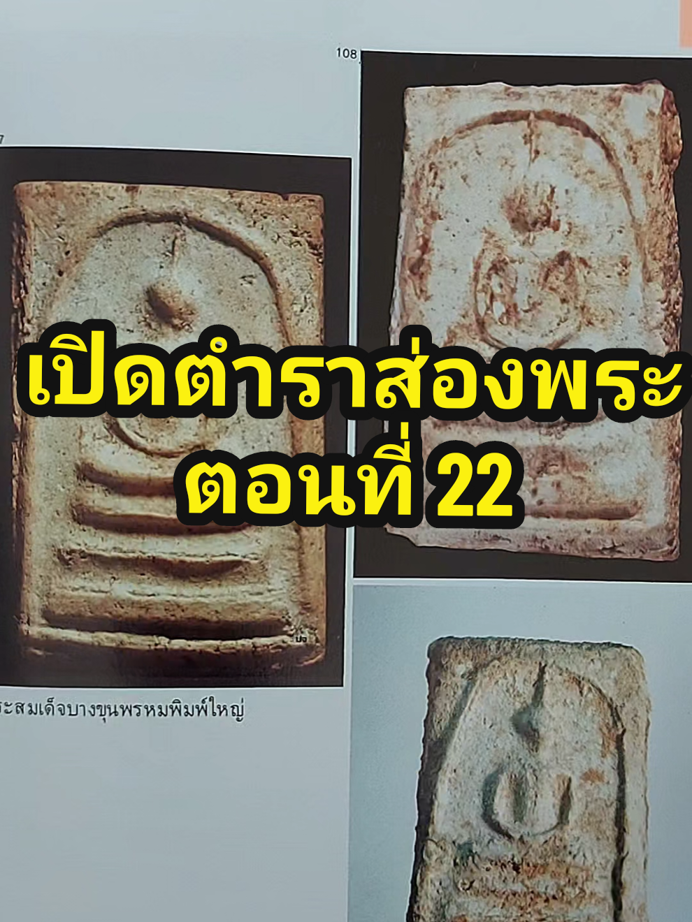 @บี กรมหลวง636