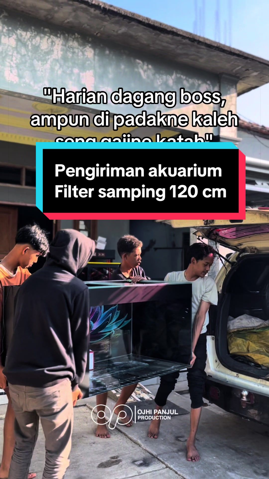 @Panjul Aquafish