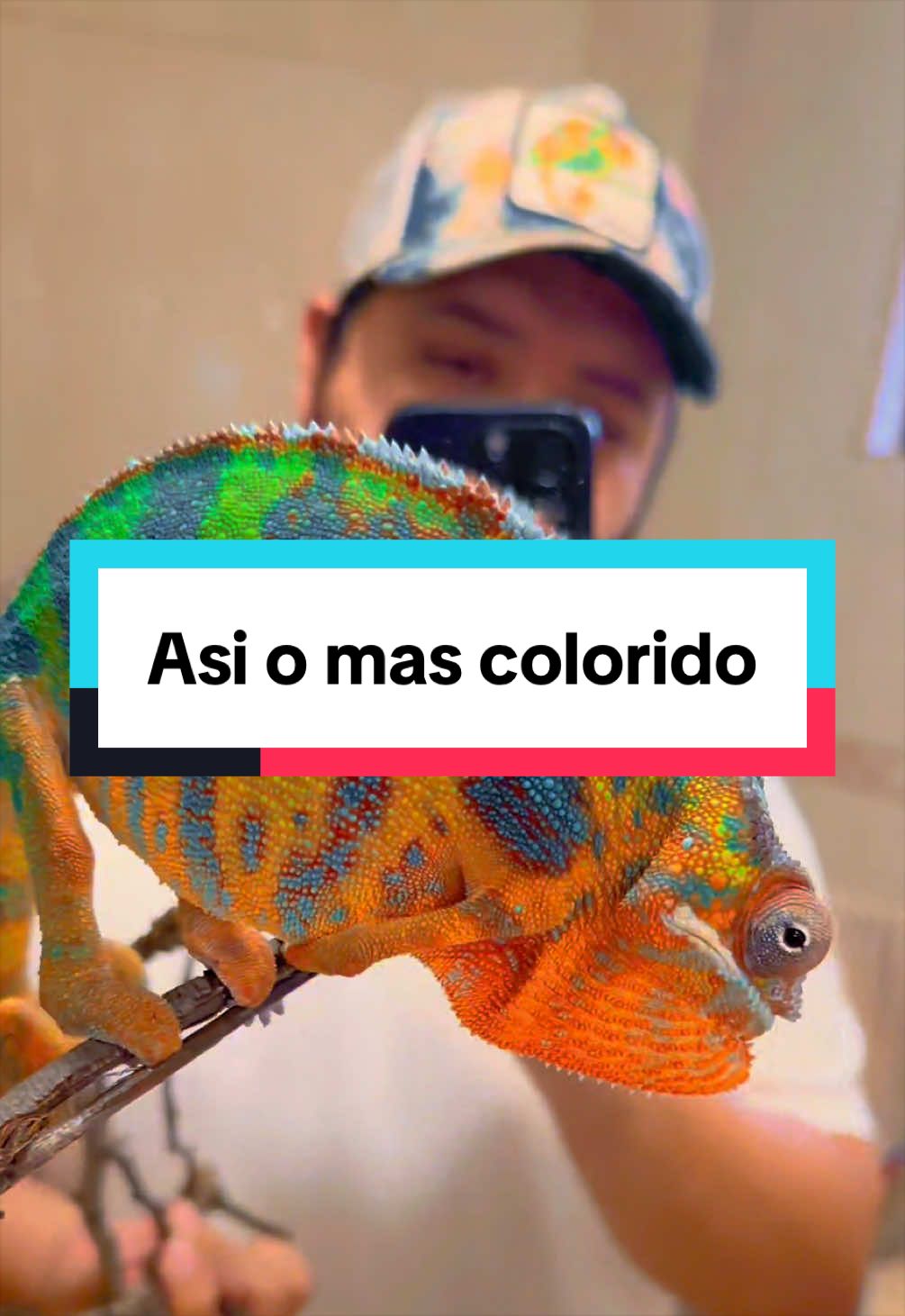 @ReptilMania
