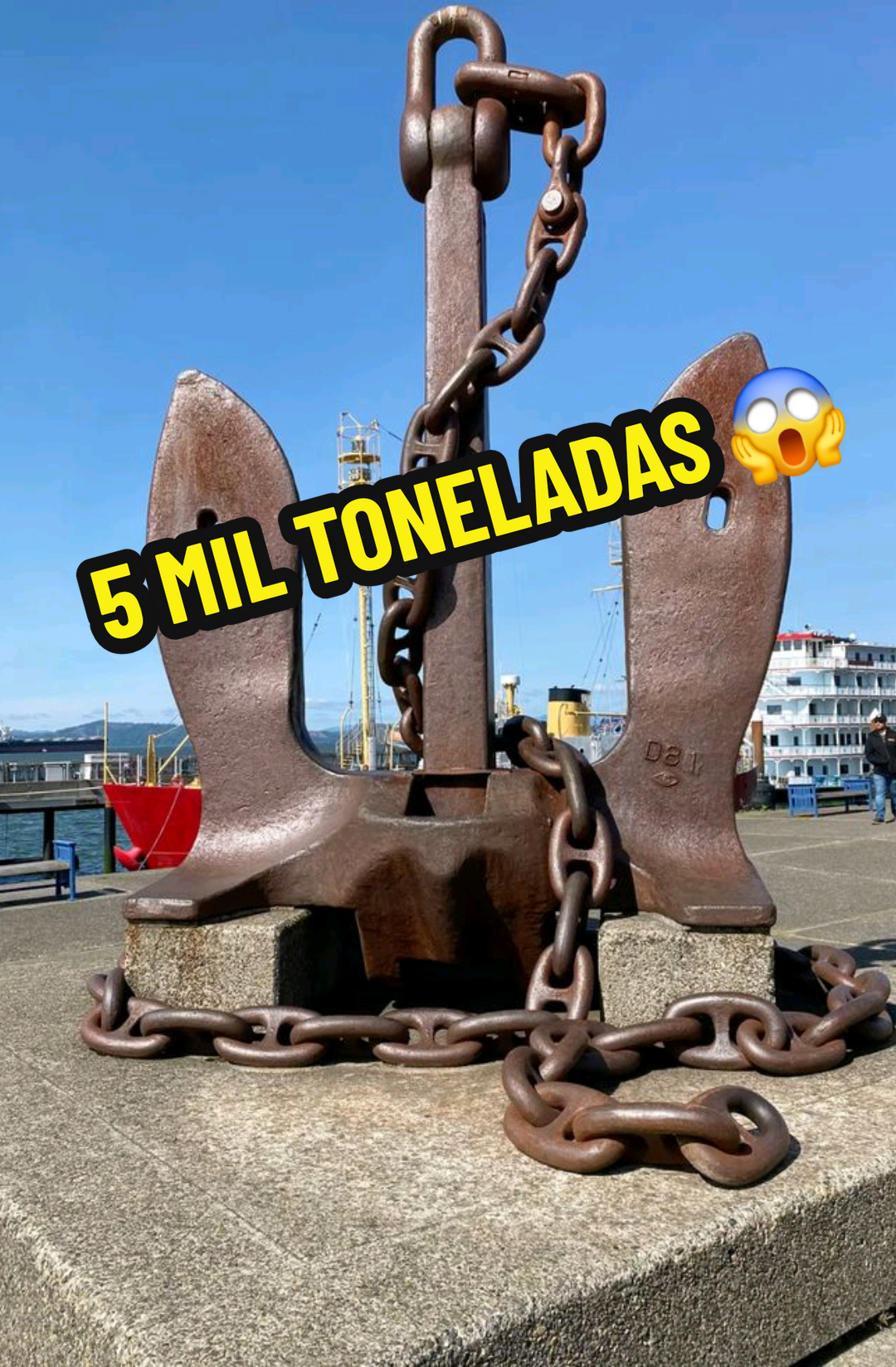 @RAIZ DO SABER