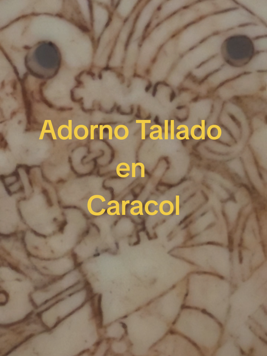 @Guías de Yucatán