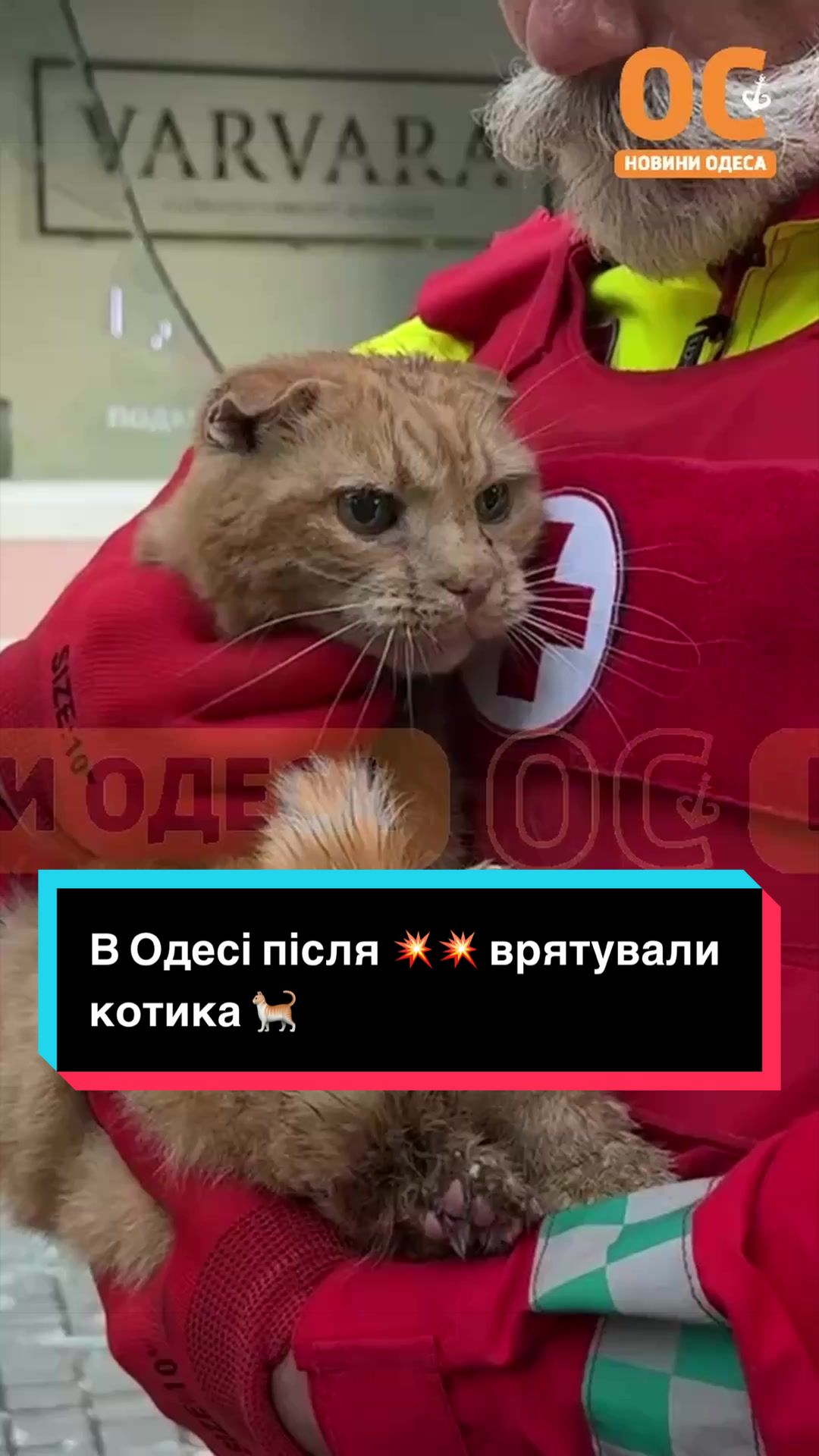 @УС: Україна Сейчас