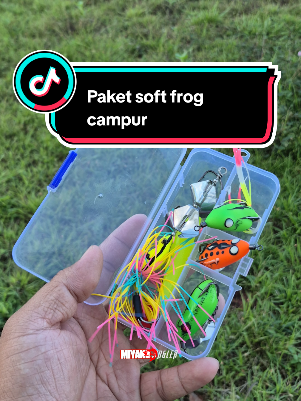 @Miyank Angler